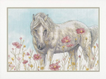 (image for) Wild Horse